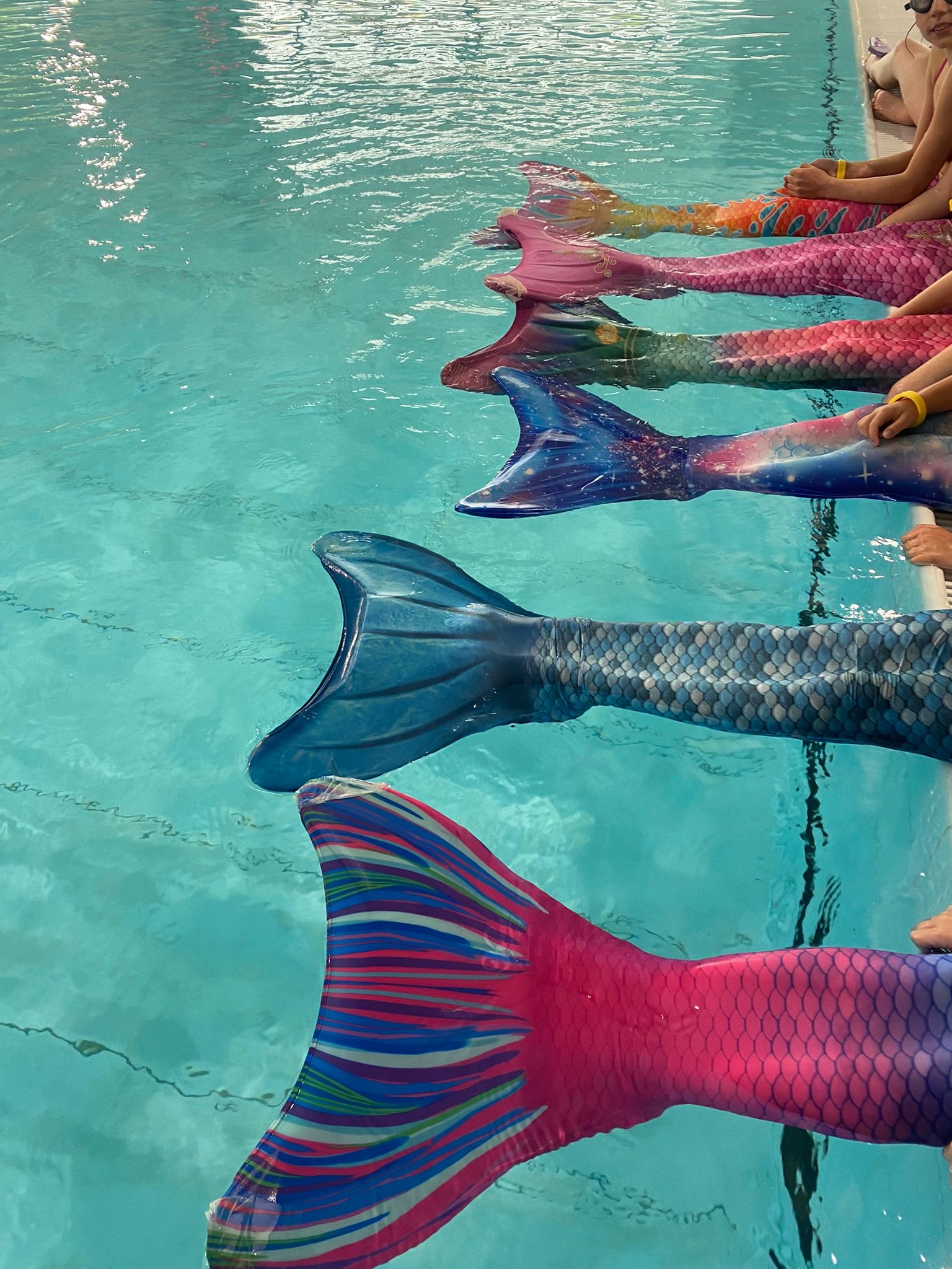 ZEEMEERMINNEN EN HAAIEN