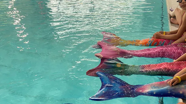 ZEEMEERMINNEN EN HAAIEN