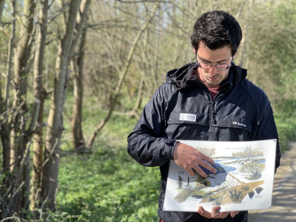 Beversafari Leuven - 1 