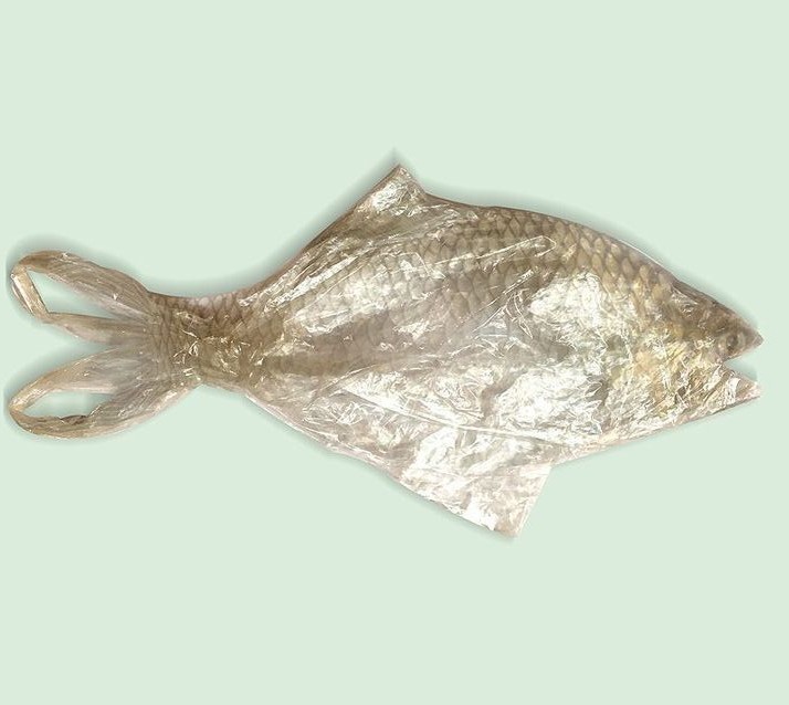 Tekening van een vis