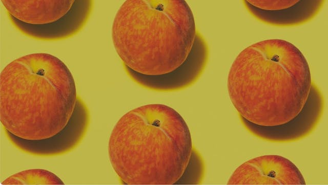 Drink and draw, 2025