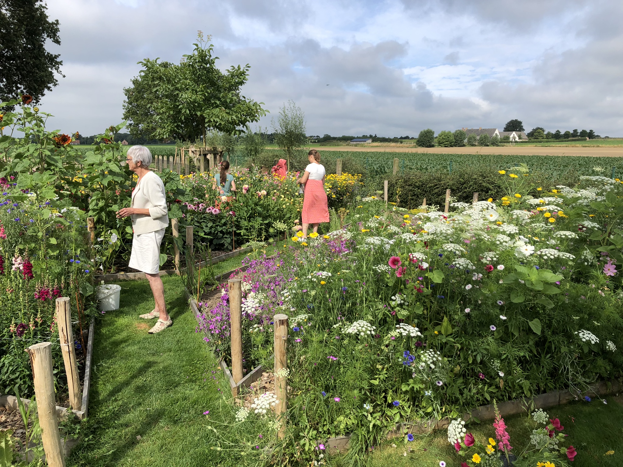 Sfeerbeeld van enkele plukkers in de bloemenpluktuin