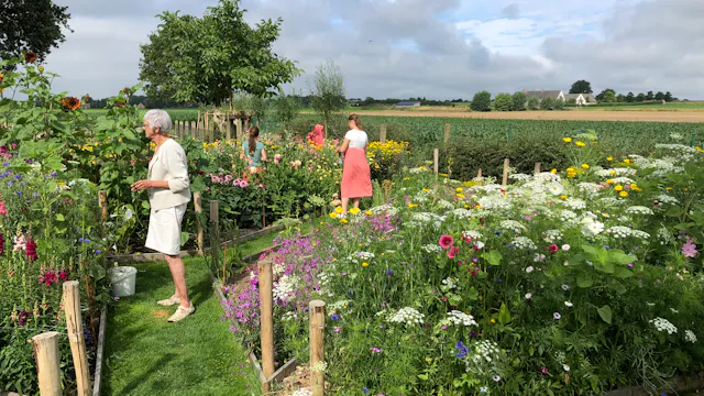 Sfeerbeeld van enkele plukkers in de bloemenpluktuin