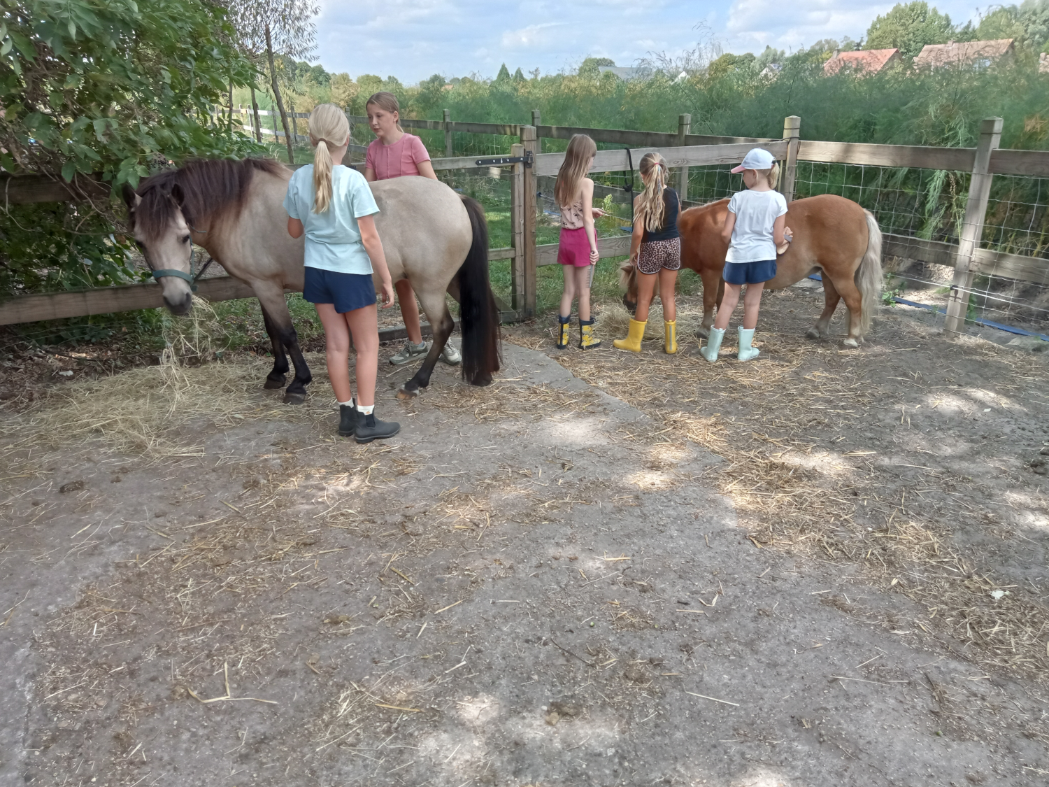 De boerderijdieren verzorgen en ermee knuffelen vinden ze super leuk. Kom je kijken welke dieren er allemaal zijn?