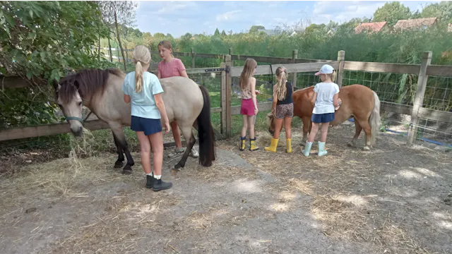 De boerderijdieren verzorgen en ermee knuffelen vinden ze super leuk. Kom je kijken welke dieren er allemaal zijn?