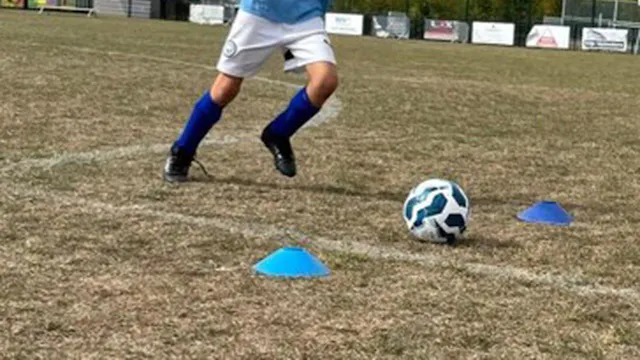 Zomerstage augustus - Passendale