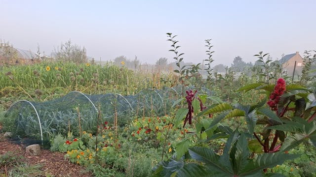 Bezoek aan 'Haal meer uit je tuin vzw'