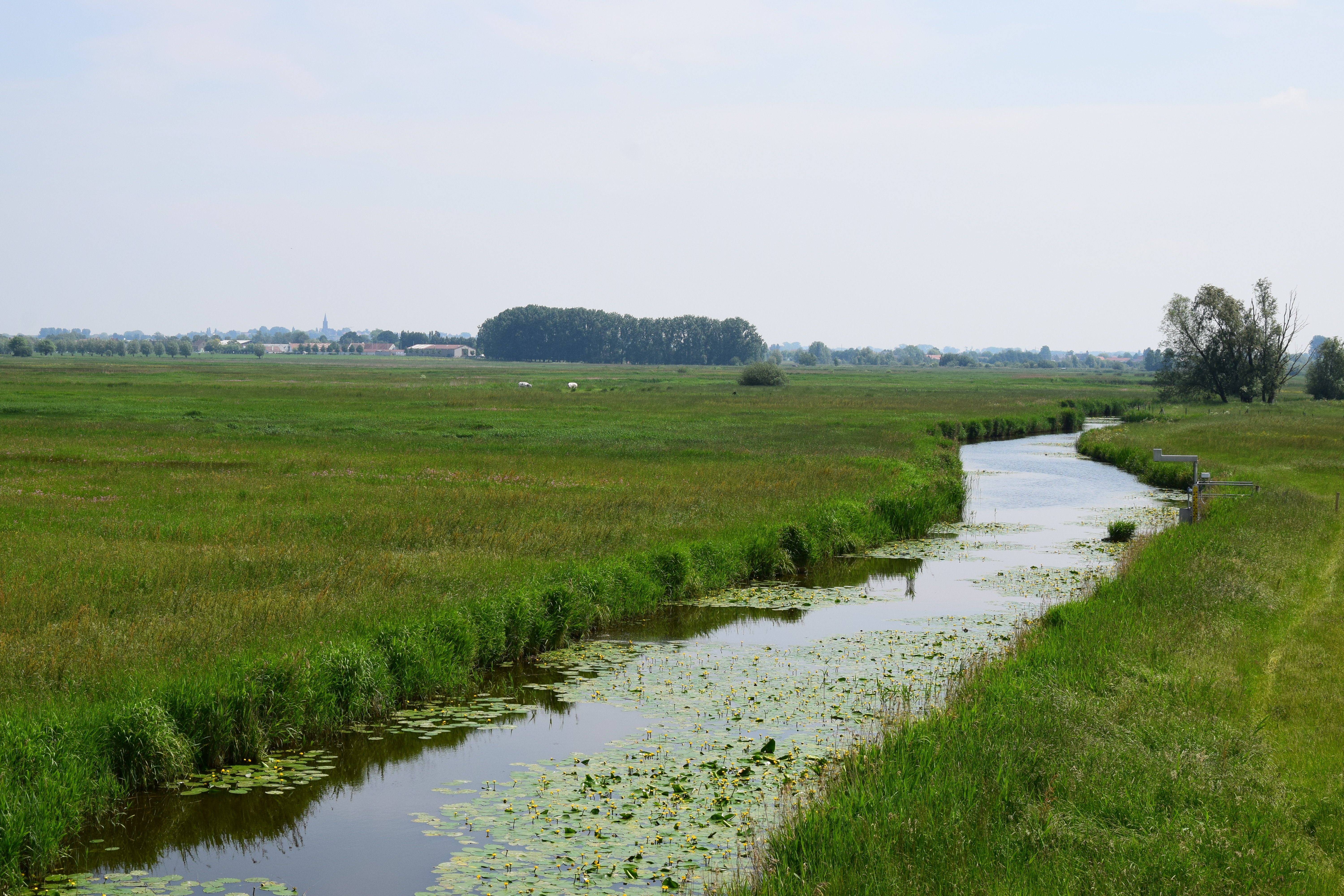 polders