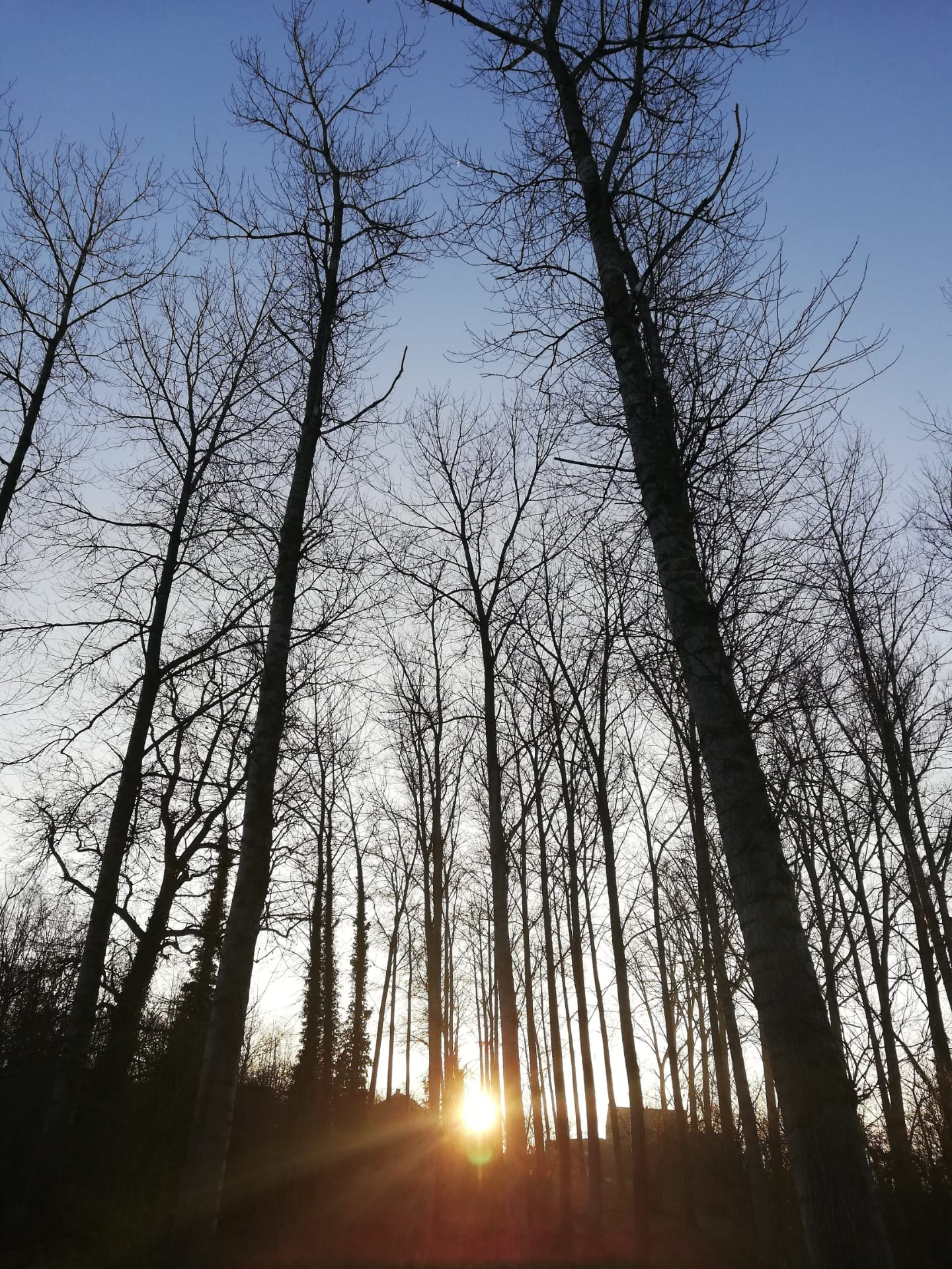 Winterwonderwandeling