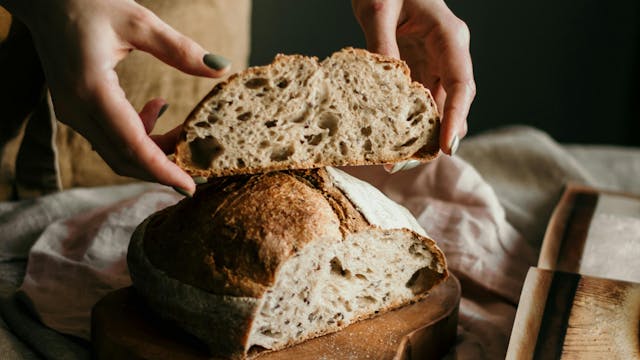 251010 Workshop desembrood.jpg