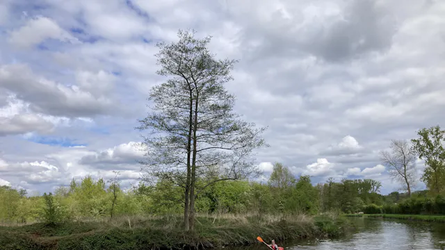 Packraften op de Dender