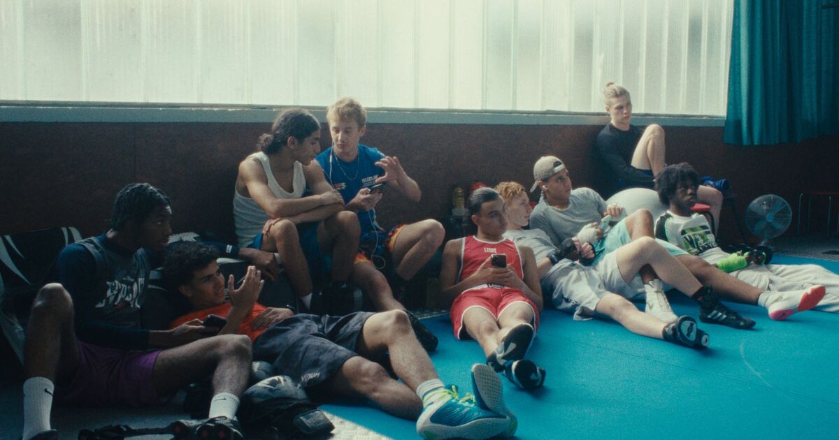 La danse des Renards (Valery Carnoy)