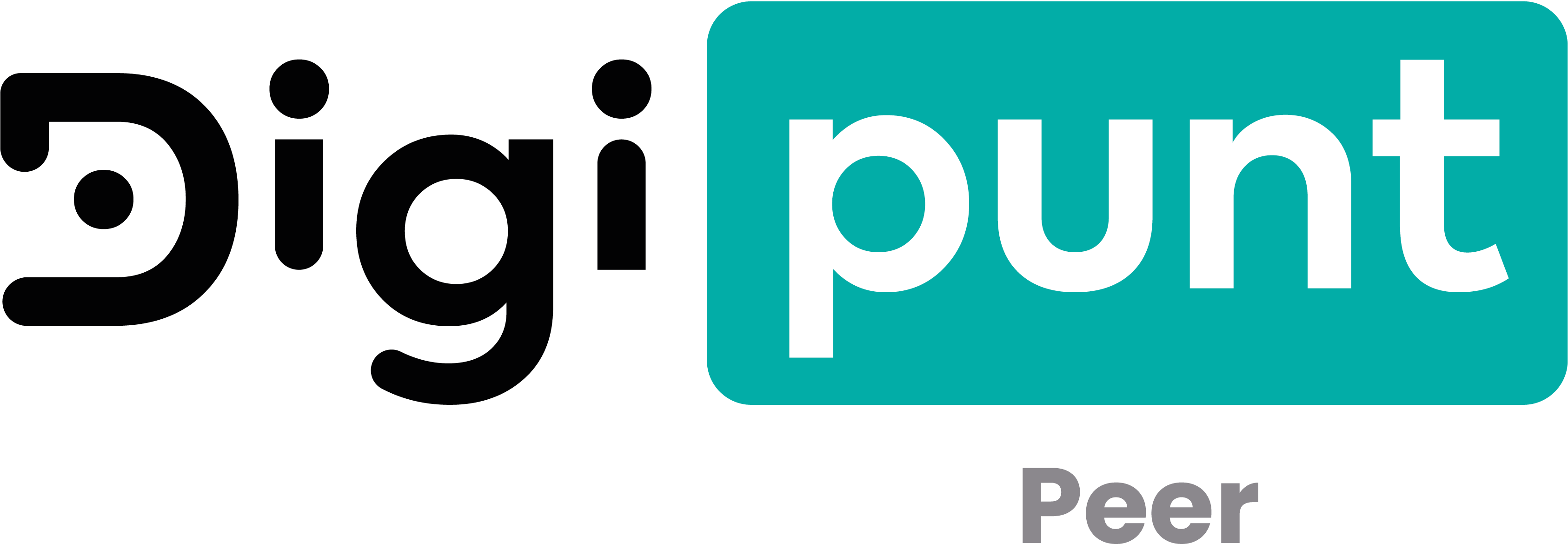Digipunt Peer