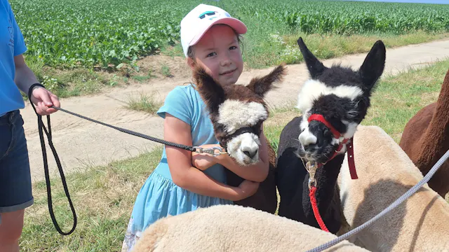 kinder verjaardagsfeestje bij de alpaca's