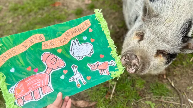 Jeugdboekenmaand op Schoolhoeve De Campagne