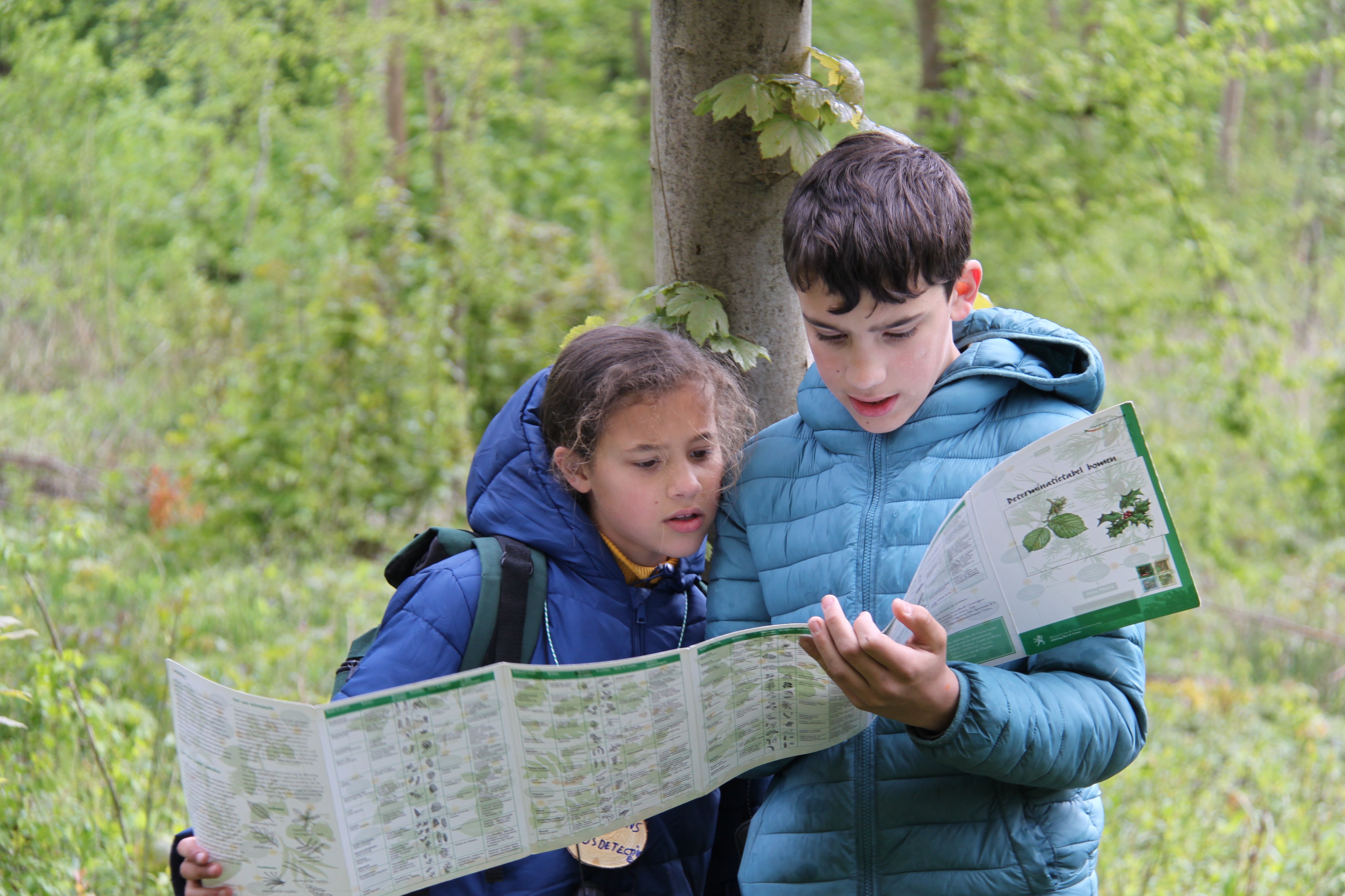 Bosdetectives in Bos t'Ename