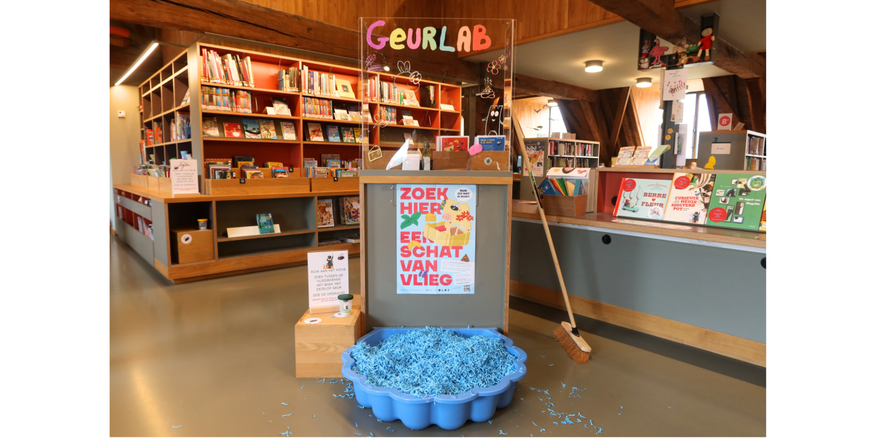 Schatten van Vlieg in Het Predikheren