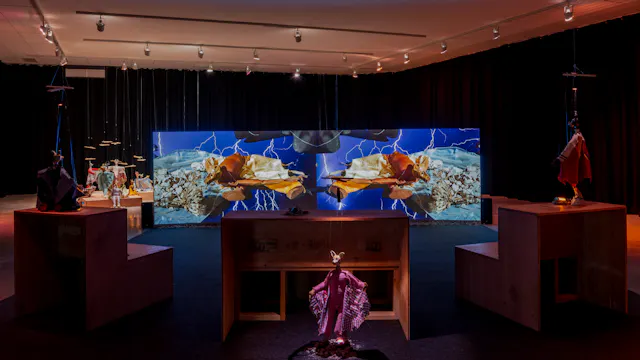 gdao_SAAGM_installationview