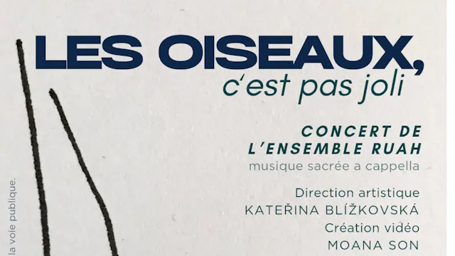 Les oiseaux, c'est pas joli