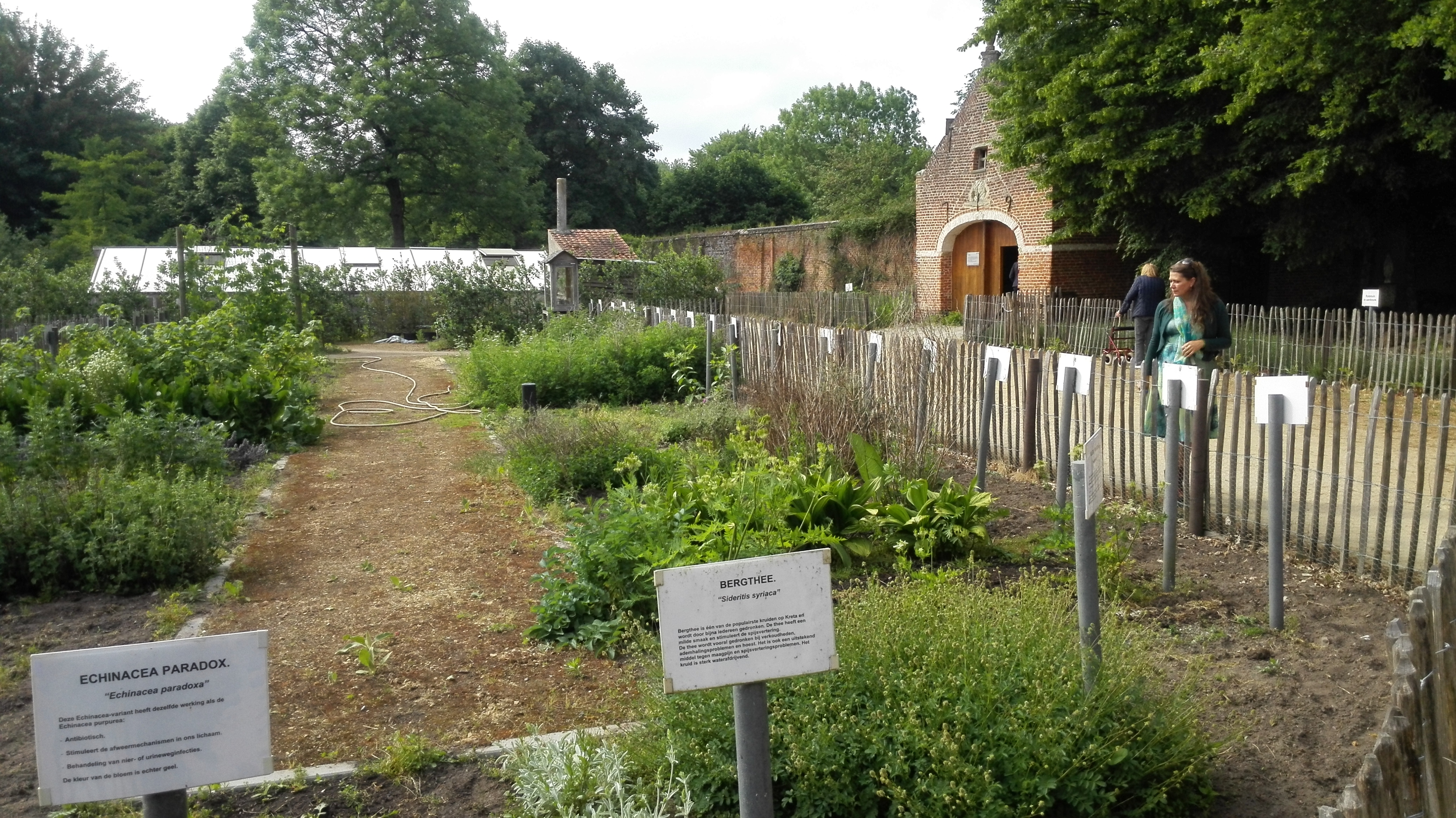 Rondleidingen in de kruidentuin van de abdij Postel
