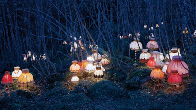 Sprookjes enzo - Pietro Chiarenza